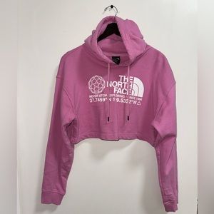 The north face hoodie